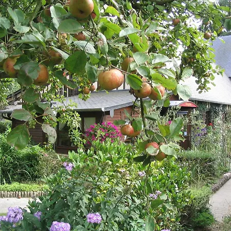 Du Val Au Cesne Croix-Mare