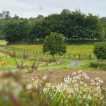 ゲストハウス Du Val Au Cesne Croix-Mare