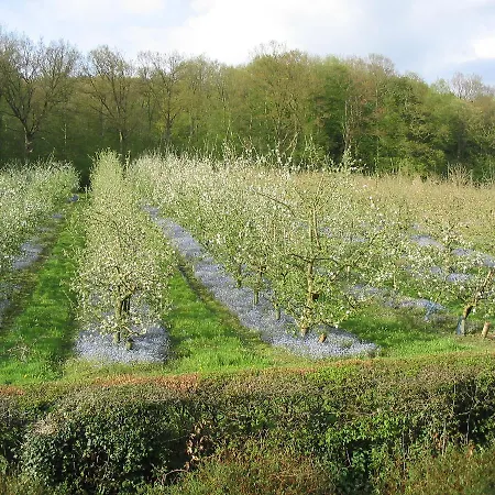 Du Val Au Cesne Maison d'hôtes Croix-Mare