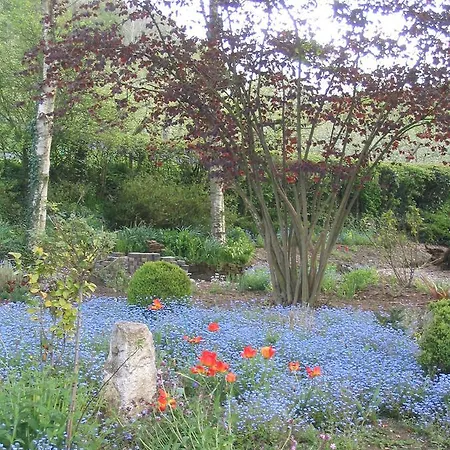 招待所 Du Val Au Cesne 3*