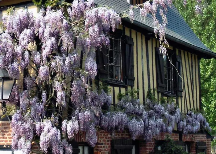 Du Val Au Cesne Pensjonat