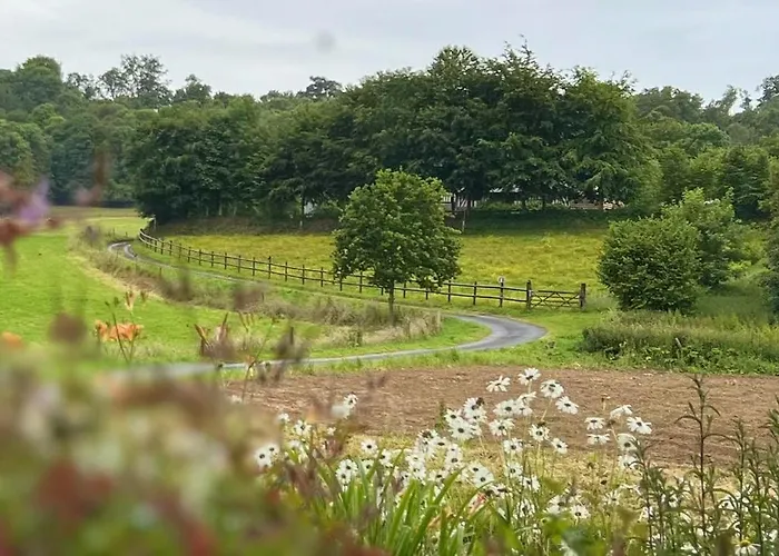 Pensjonat Du Val Au Cesne Croix-Mare