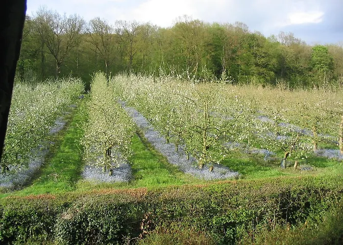 Du Val Au Cesne Pensjonat Croix-Mare